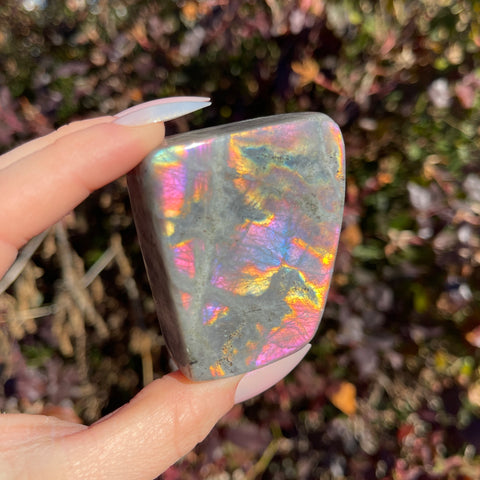 Rainbow Labradorite Freeform J