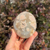 Flower Agate Palm Stone