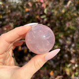 Star Rose Quartz Sphere F