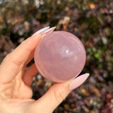 Star Rose Quartz Sphere B