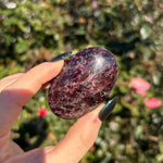 Gemmy Garnet Palm Stone A