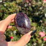 Gemmy Garnet Palm Stone A