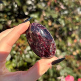 Gemmy Garnet Palm Stone C