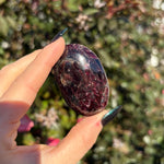 Gemmy Garnet Palm Stone C