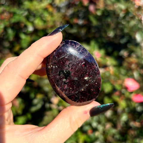 Gemmy Garnet Palm Stone D