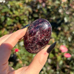 Gemmy Garnet Palm Stone A