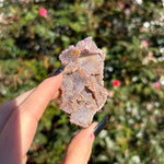 Alacam Amethyst Cluster W