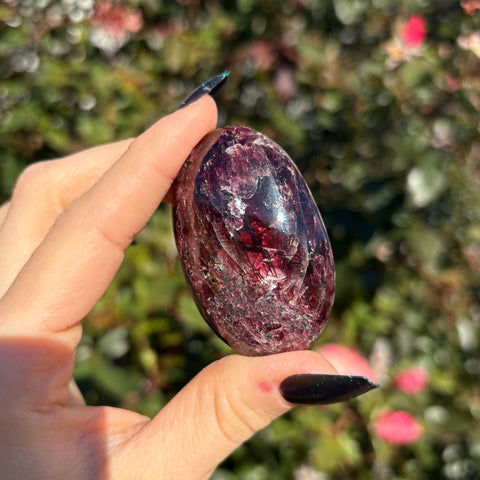 Gemmy Garnet Palm Stone C