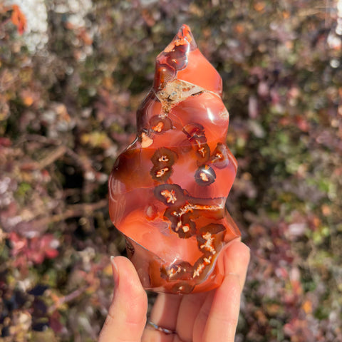 Carnelian Flame