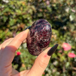 Gemmy Garnet Palm Stone A