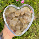 Gold Rutilated Quartz Tumbled Stones